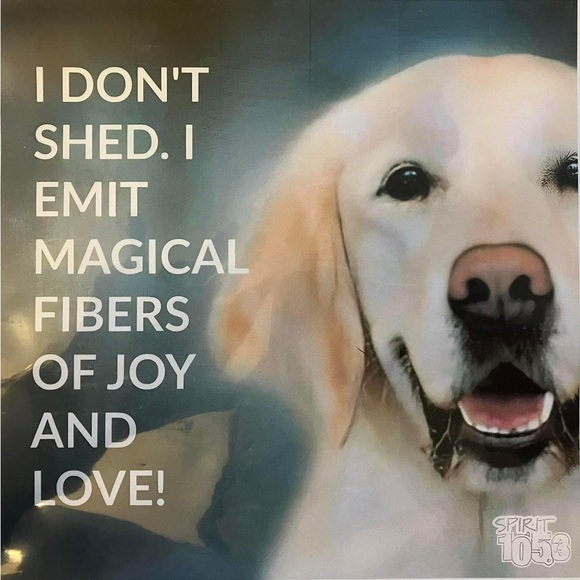 Live show Quick list item - Picture 1 of 2